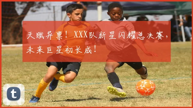 天赋异禀！XXX队新星闪耀总决赛，未来巨星初长成！