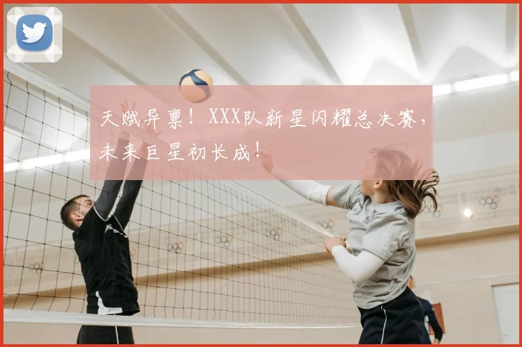 天赋异禀！XXX队新星闪耀总决赛，未来巨星初长成！